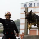 백두축산 이미지