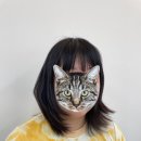 [서대문_이대] <b>이안</b>헤어 이대점에서 허쉬컷+C컬펌 하고왔어요~ 이대미용실