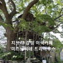 대동보건진료소 | [아이랑 익산/김제 여행] 지브리 감성 이색카페 ‘미즈노씨네 트리하우스’ – 전북 데이트 코스로 딱!
