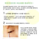 [주방꾸밈 천싸요]아이라인으로속눈썹을풍성하게! 이미지
