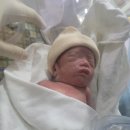 별이와개똥이 이미지