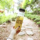 금헌힐링캠핑장 이미지