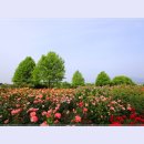 곡성-075 이미지