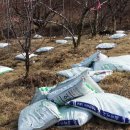 인선농장 이미지