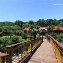 숲속의아침3 이미지