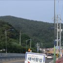 강창호물회(대어횟집) 이미지