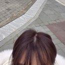 일산 오브르헤어: 와인색 레드바이올렛 염색 후기!!