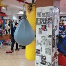 평촌 권투체육관 이미지