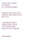 커피나무향기 이미지