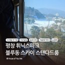 11650-16-174-2 | 평창 휘닉스파크 | 16개월 아기랑 리모델링된 블루동 스카이 스탠다드 1박 2일 숙박 후기(슬로프뷰)