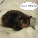 책속 키워드 단어찾기 | 2026 경기 중등 영어 임용 초수 합격 수기(1) - 노베이스의 1차 전공 교육학 공부법(컷 +6)