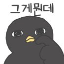 정가짬뽕 네이버블로그
