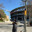 CAMP NO.1 | FC 바르셀로나 캄프누 투어 일정 예약 및 박물관 후기