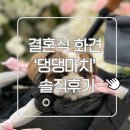 다정펫 | [내돈내산]강아지 화동(화견)-'댕댕마치' 펫시터 솔직 후기