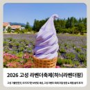 민한 | 고성 가볼민한곳, 아기자기한 보랏빛 세상, 고성 라벤더 축제 주말 방문 & 체험 솔직 후기!