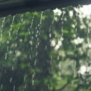 365청담한의원 이미지