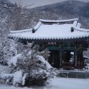 청용사 Daum카페