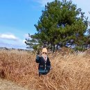 제주도 2025겨울일기 13. 제주살이 3년도 안되었네 이미지