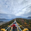 문경새재 단풍 | 출렁다리