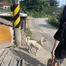 장독민박 이미지