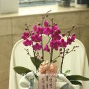 행복flowershop