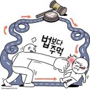 공권력의 빈틈이 키우는 사적 제재의 유혹~! 이미지