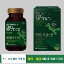 송도홀론석정