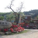 바둑골농촌체험휴양마을 이미지