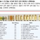 오메가3 건강기능식품 품질비교시험 결과보고서(20개 제품 선정 비교). 출처 : 한국소비자원 이미지