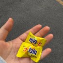 안양푸드뱅크 | [안양] 인덕원 이자카야 "신스" 안주맛집 찐후기😋