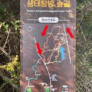 안덕면 신항동(조각공원 맞은편) | 제주 화순곶자왈 생태탐방숲길 11월 단풍 코스 정보 소요시간