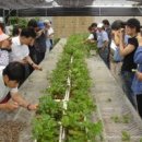 물맑은양평체육관 이미지