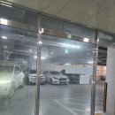 시네마안경콘택트 이미지