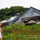 일심교회 어린이공원 23호 | 남양주 비루개 식물원카페에서 모녀데이트!