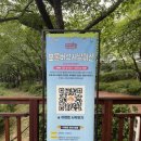 보물몰 | 롯데월드몰 메이플스토리 팝업 보물버섯사냥미션 경품 후기