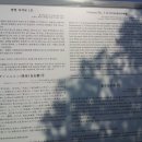 광령지석묘 1호 이미지