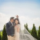 소피아 플라워 스튜디오
