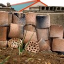 안도현농장 이미지