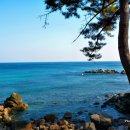 동해바다 이미지