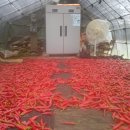 희나리농장 이미지