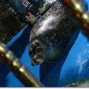 리틀쥬동물의료원 이미지