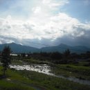 오곡면사무소 이미지