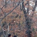 수지어린이집 이미지