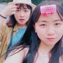 무릉법흥로 이미지
