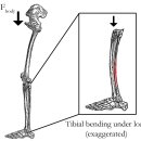 더블유메딕스 이미지