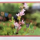 용암산성오토캠핑장 이미지