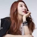 정윤정 티브이데일리
