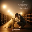 동물병원 누리에뜰 이미지