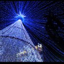 크리스마스 트리 축제 이미지