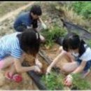 신화초등학교 이미지